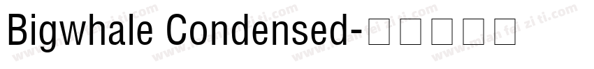 Bigwhale Condensed字体转换